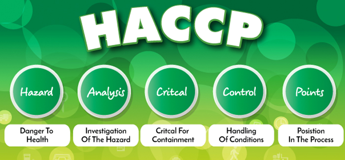 5 bước sơ bộ và 12 bước chi tiết trong lập kế hoạch HACCP