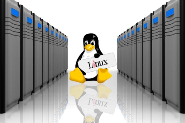 Linux Website Hosting là gì? Có nên sử dụng Linux Hosting không?