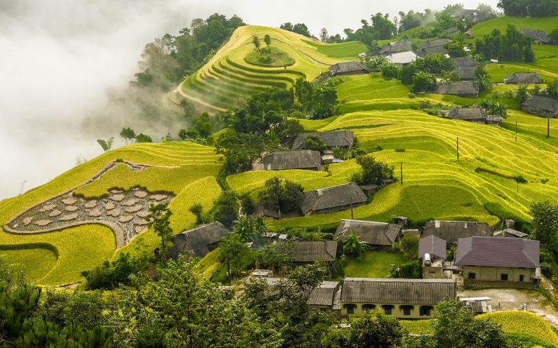 Hoàng Su Phì