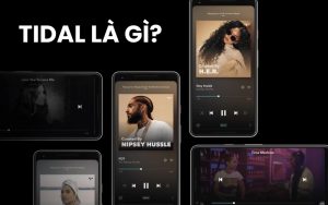 Tidal là gì