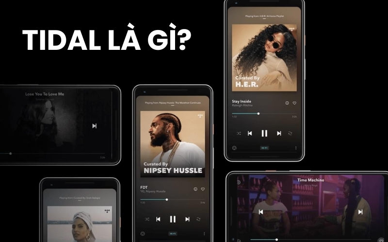 Tidal là gì