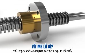 vít me là gì